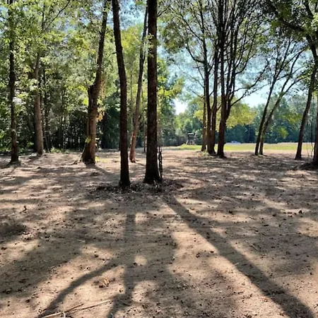 Charming Tiny Home! Close To Oxford, Sardis Lake, Safari Animal Zoo Exterior photo