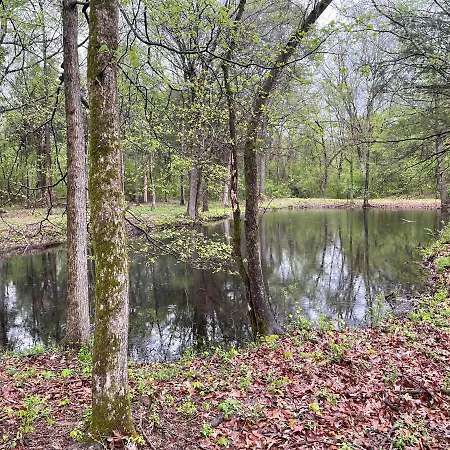 Charming Tiny Home! Close To Oxford, Sardis Lake, Safari Animal Zoo Exterior photo