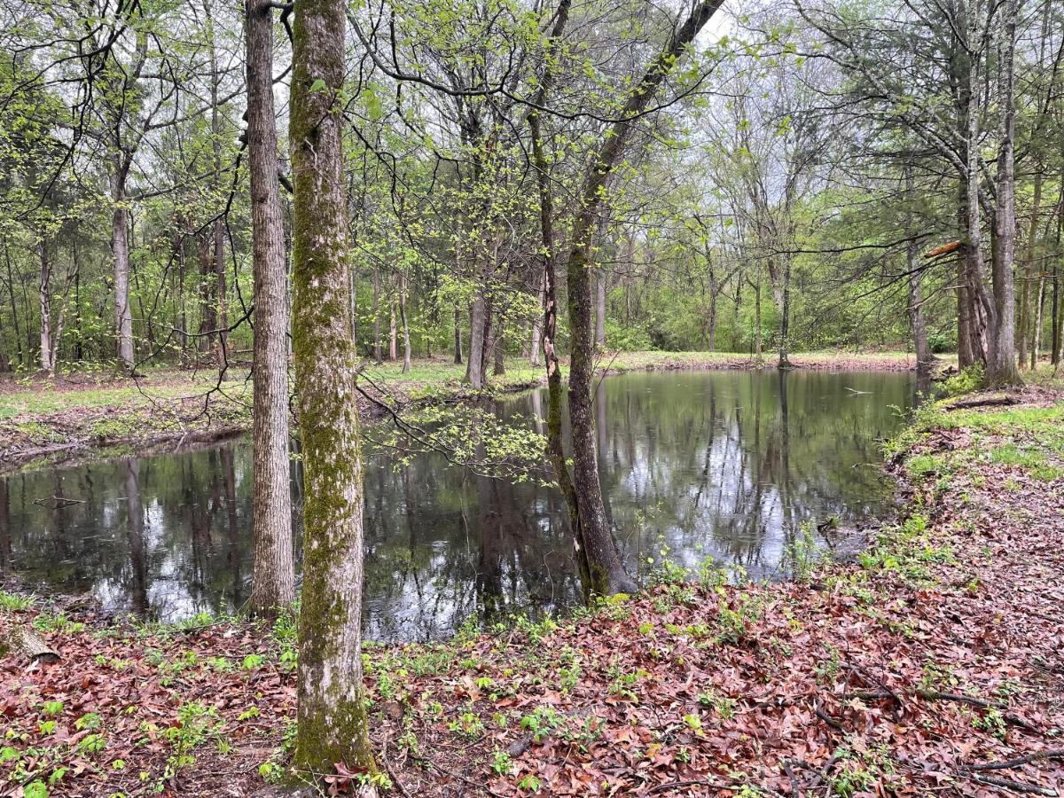 Apartment Charming Tiny Home! Close To Oxford, Lake, Safari Animal Zoo